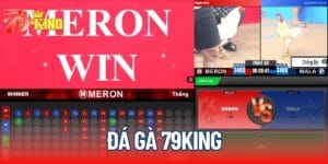 Đá Gà 79KING - Trổ Tài Dự Đoán, Mang Tiền Về Tay