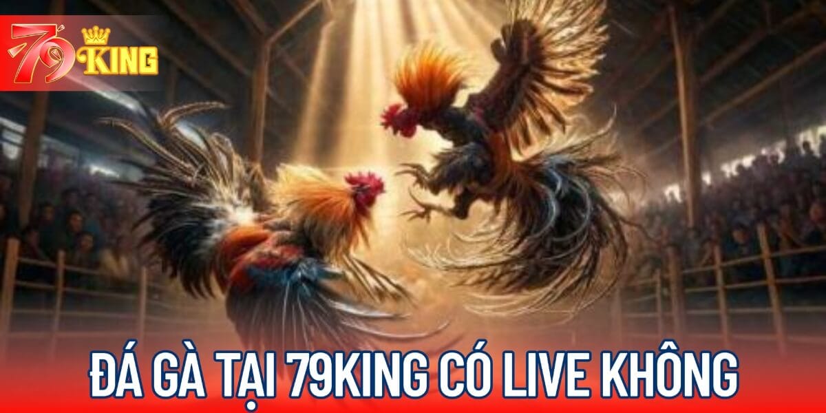 Đá gà tại 79KING có live không?